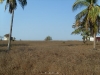 barra (2)